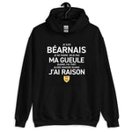 Je suis Béarnais je ne ferme pas ma gueule - Sweatshirt à capuche standard