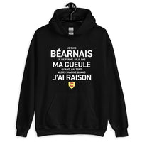 Thumbnail for Sweatshirt Béarn vert militaire - Je suis Béarnais je ne ferme pas ma gueule