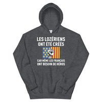 Thumbnail for Sweat à capuche Lozère gris foncé chiné dos - Les Français ont besoin de héros