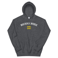 Thumbnail for Sweatshirt Normandie gris foncé chiné dos - effet American College délavé