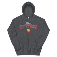 Thumbnail for Team Aveyron avec blason et écriture universitaire - Sweat à capuche