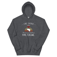 Thumbnail for J'ai suivi mon coeur il m'a conduit en Bretagne - Sweatshirt à capuche standard