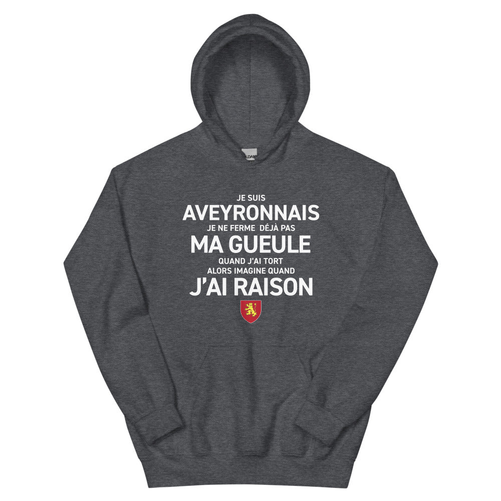 Sweatshirt Aveyron noir dos - Je suis Aveyronnais je ne ferme pas ma gueule