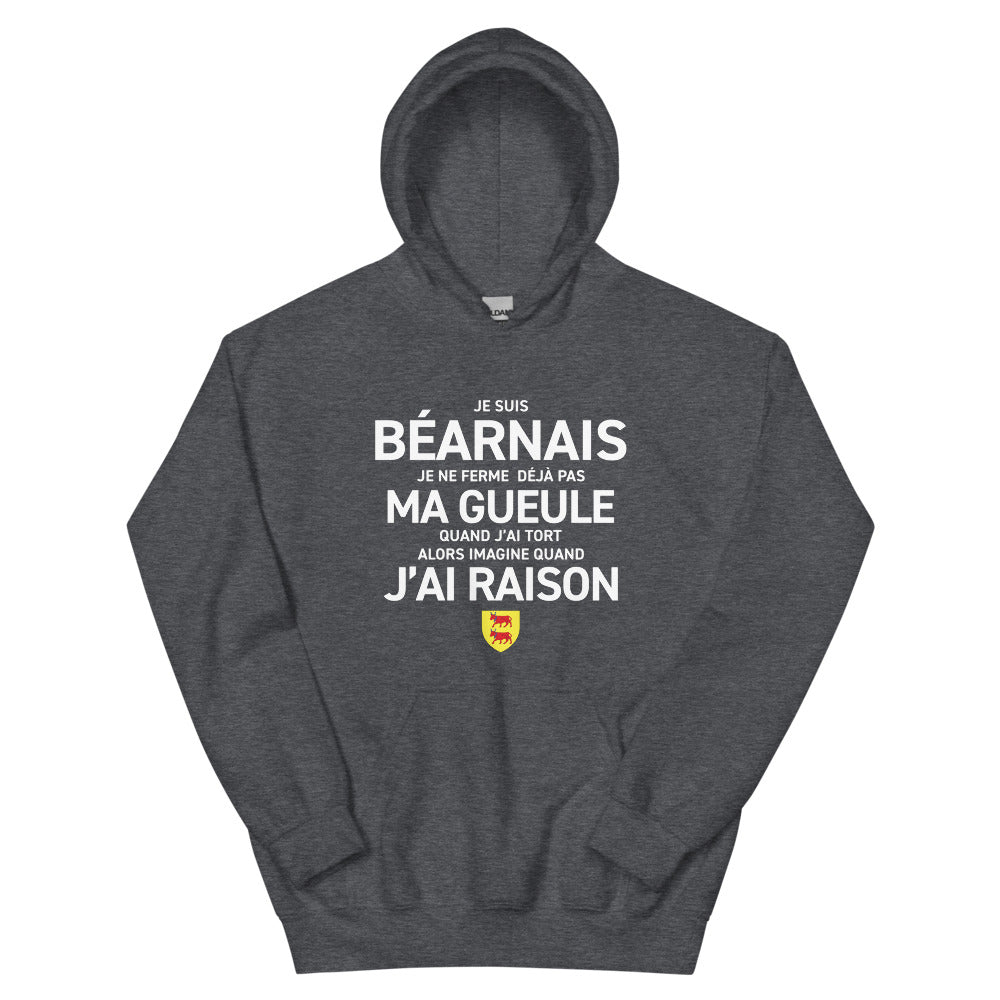 Ich komme aus Béarn, ich halte nicht den Mund – Standard-Hoodie