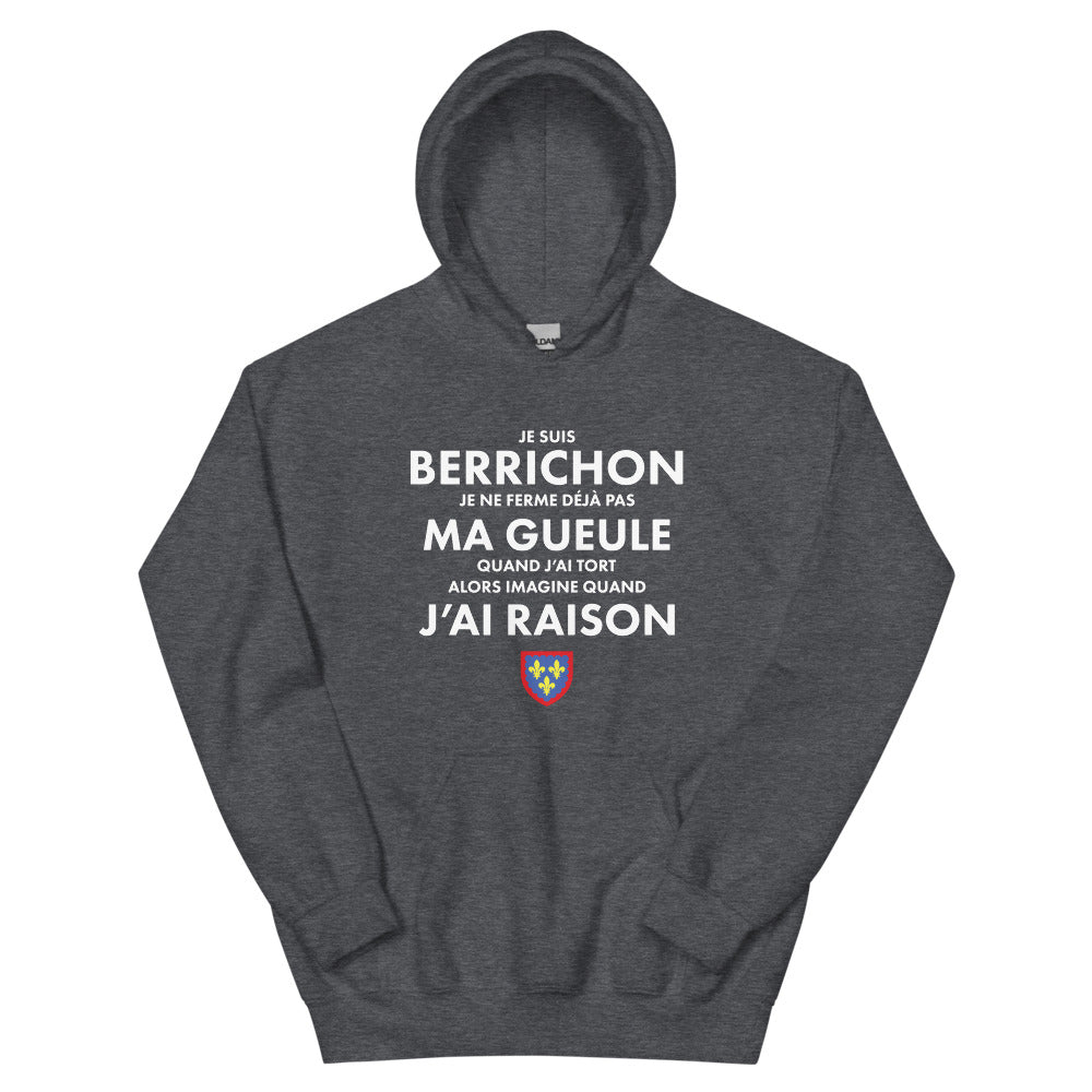 Sweatshirt Berry bleu marine dos - Je suis Berrichon je ne ferme pas ma gueule