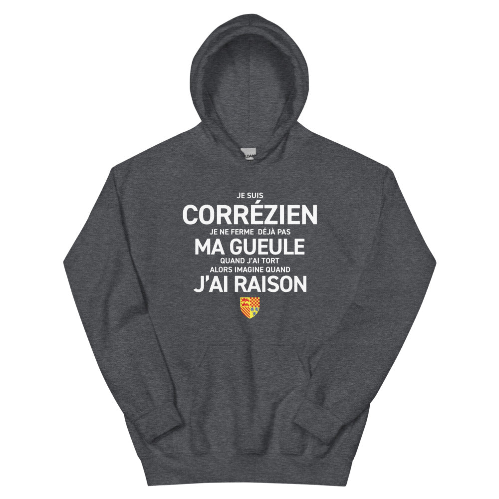 Je suis Corrézien je ne ferme pas ma gueule - Sweatshirt à capuche standard