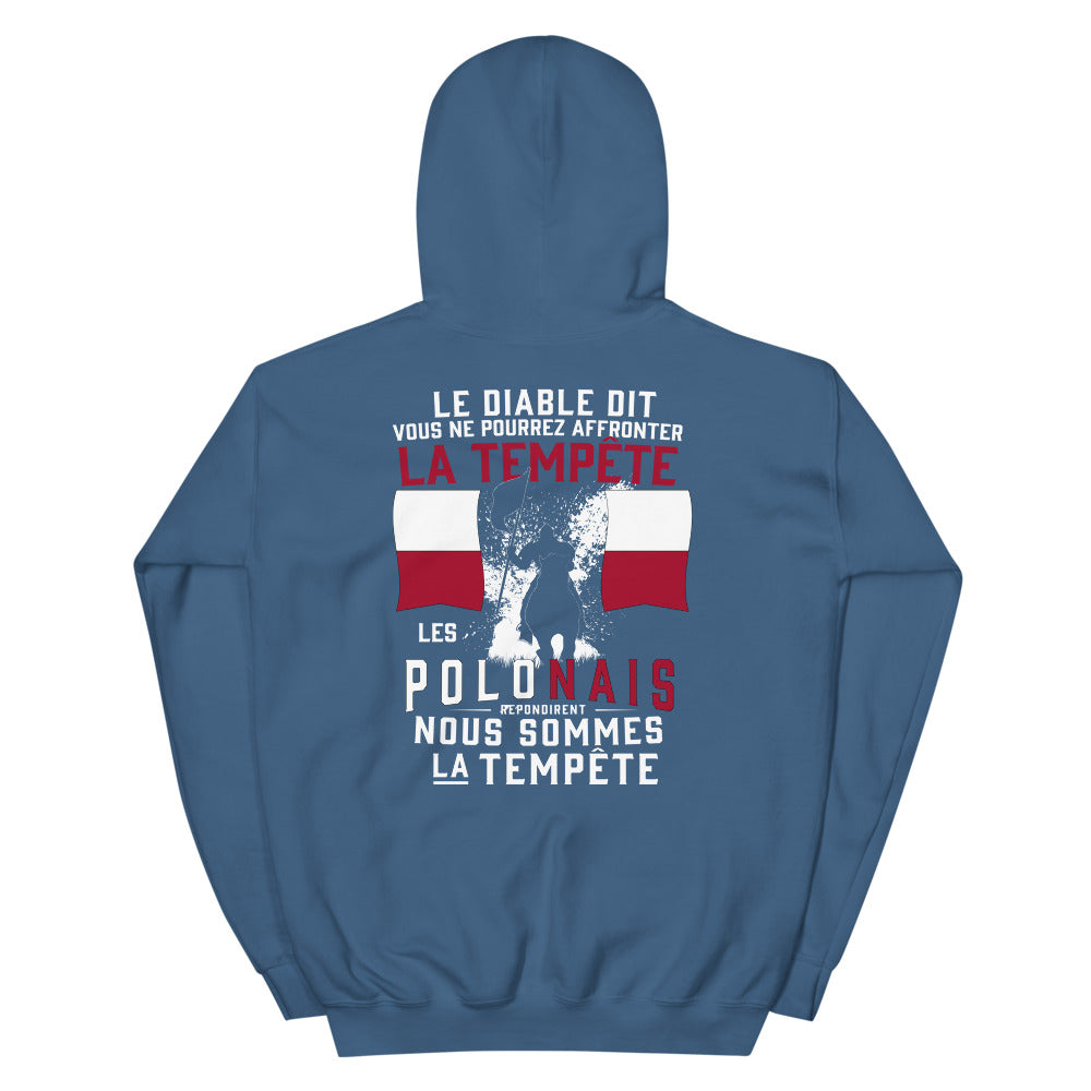 Sweatshirt Pologne vert militaire dos - Les Polonais répondirent : tempête