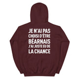 Je n'ai pas choisi d'être Béarnais j'ai eu de la chance avec blason Béarn avant - Sweat à capuche