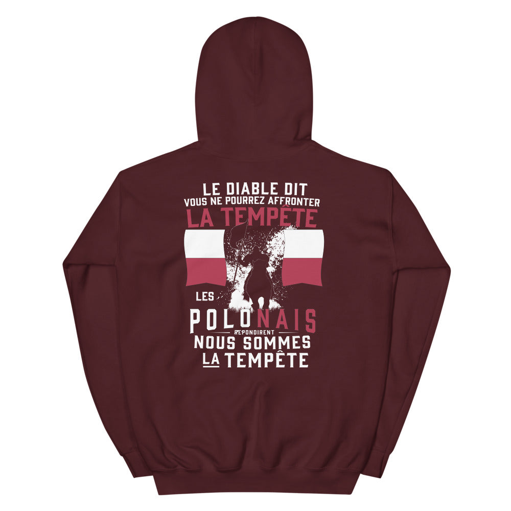 Sweatshirt Pologne gris foncé chiné dos - Les Polonais répondirent : tempête