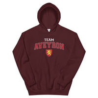 Thumbnail for Sweat à capuche Aveyron gris foncé chiné dos - blason et écriture universitaire