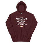 Je suis Ariégeois je ne ferme pas ma gueule - Sweatshirt à capuche standard