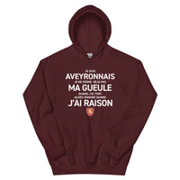 Thumbnail for Sweatshirt Aveyron gris foncé chiné - Je suis Aveyronnais je ne ferme pas ma gueule