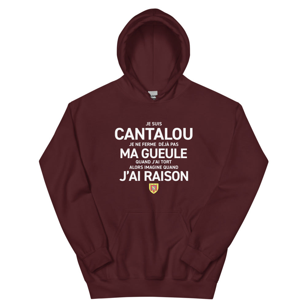 Sweatshirt Cantalou gris foncé chiné - Je suis Cantalou, je ne ferme pas ma gueule