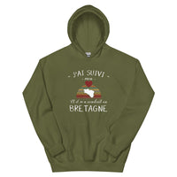 Thumbnail for J'ai suivi mon coeur il m'a conduit en Bretagne - Sweatshirt à capuche standard