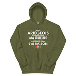 Je suis Ariégeois je ne ferme pas ma gueule - Sweatshirt à capuche standard