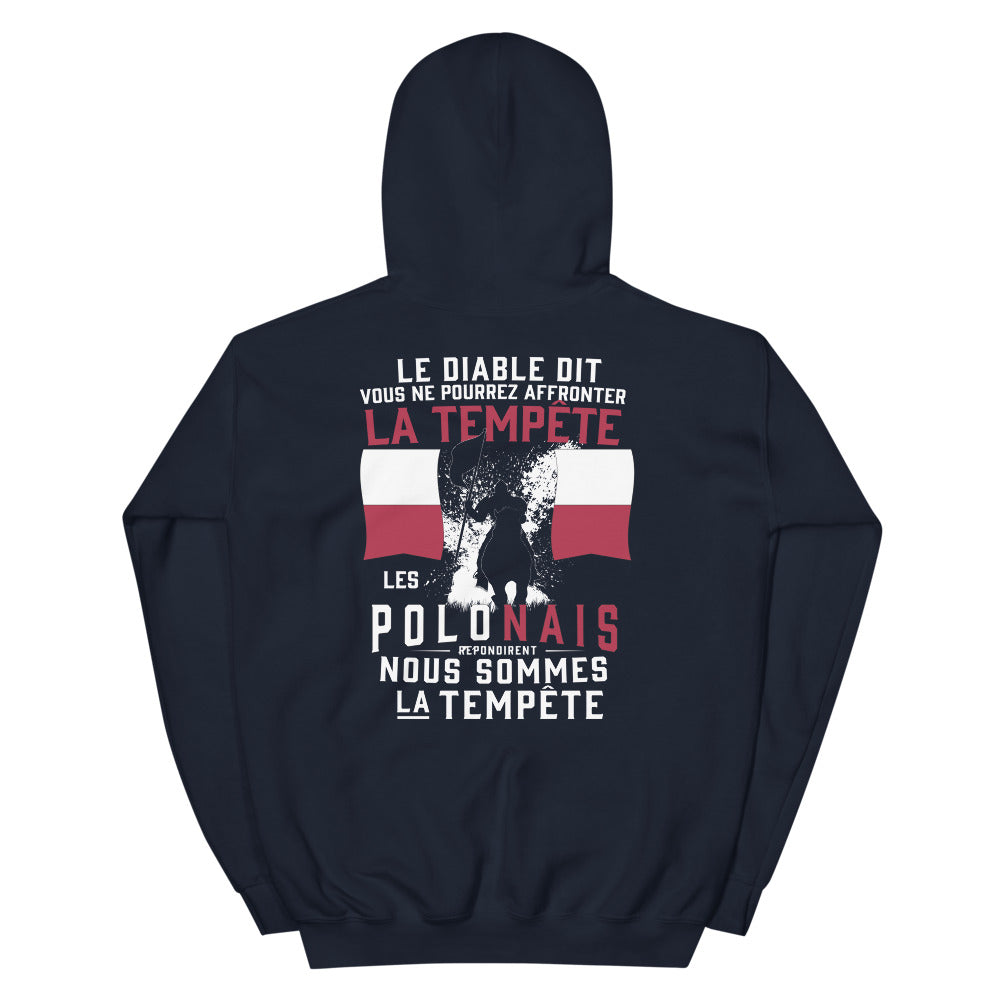 Sweatshirt Pologne gris foncé chiné - Les Polonais répondirent : tempête