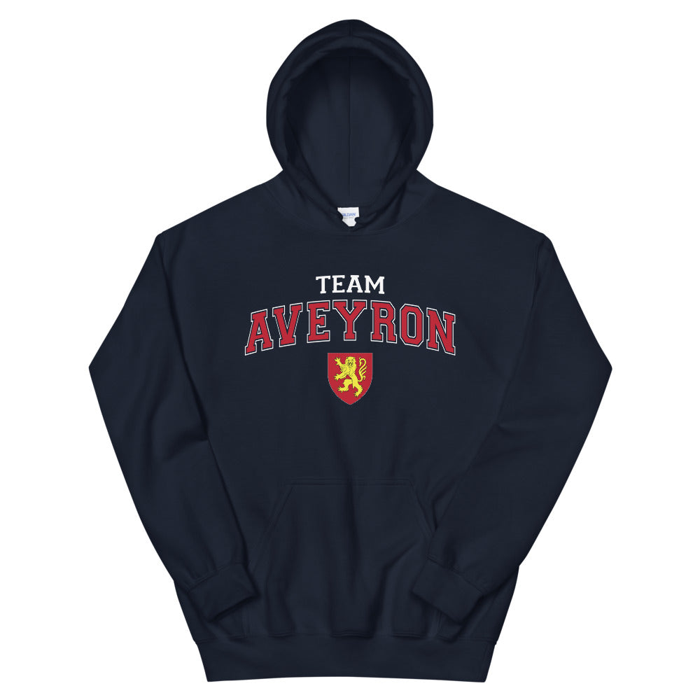 Sweat à capuche Aveyron gris foncé chiné - blason et écriture universitaire