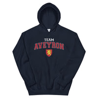 Thumbnail for Sweat à capuche Aveyron gris foncé chiné - blason et écriture universitaire