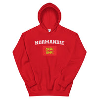 Thumbnail for Sweatshirt Normandie gris foncé chiné dos - Drapeau aux deux Léopards