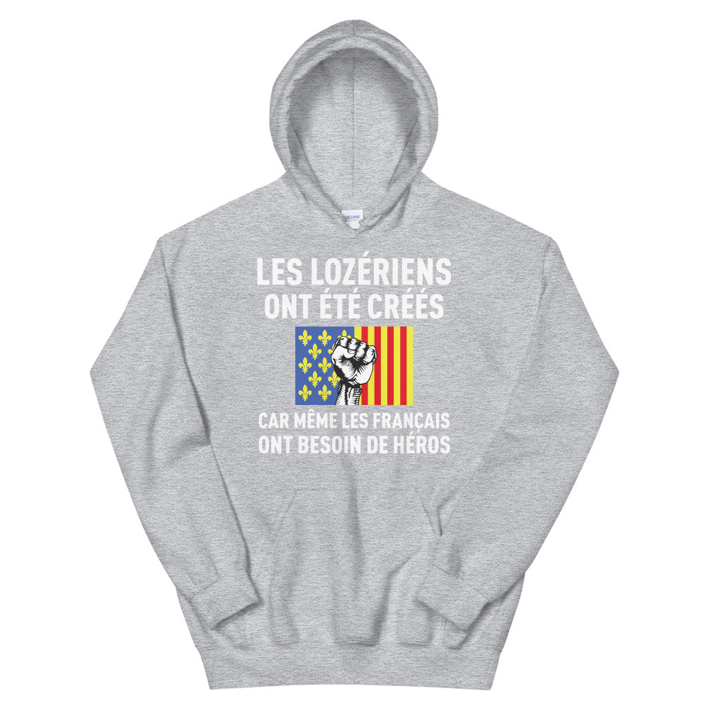 Sweat à capuche Lozère gris sport dos - Les Français ont besoin de héros