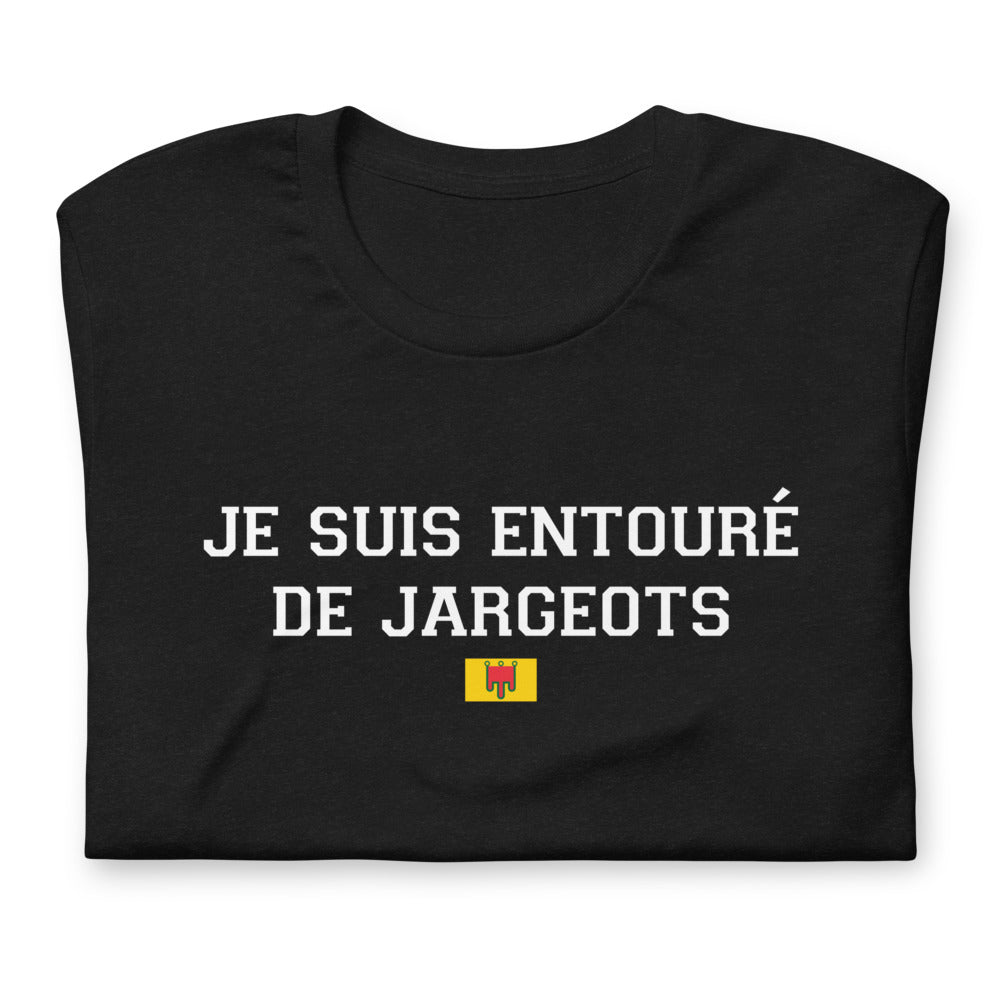 T-shirt Auvergne gris - Je suis entouré de Jargeots