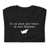 T-shirt Valais humour - Tu ne peux pas tenir je suis Valaisan face