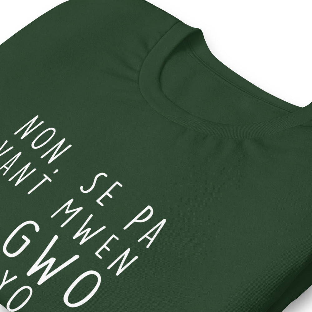 Humorvolles T-Shirt auf Haitianisch-Kreolisch – Haiti Non se pa vant mwen ki gwo