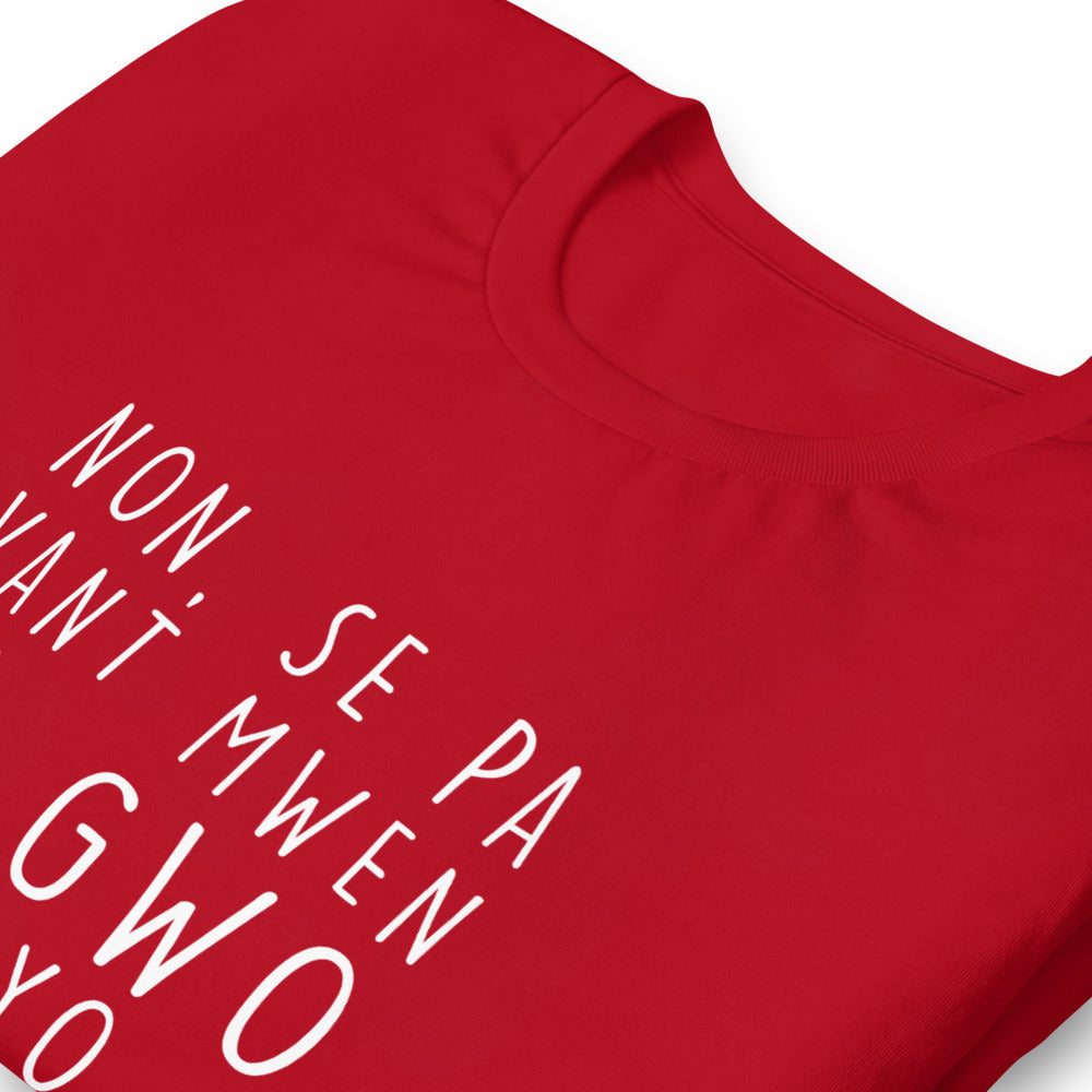 Humorvolles T-Shirt auf Haitianisch-Kreolisch – Haiti Non se pa vant mwen ki gwo